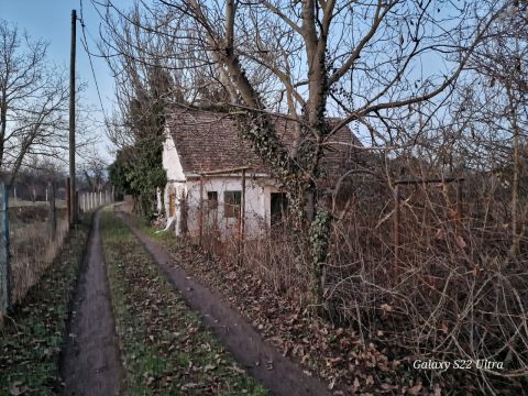 Eladó Telek 7831 Pellérd Szőlő-hegy