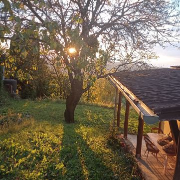 Eladó Ház 8900 Zalaegerszeg 