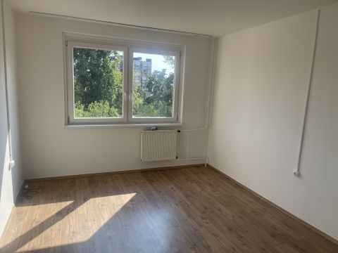 Kiadó Lakás 1101 Budapest 10. kerület Azonnal költözhető, állatbarát albérlet a Stadionoknál!