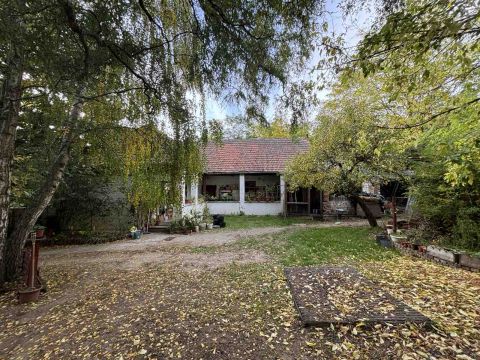 Eladó Ház 2241 Sülysáp , Természethez közel