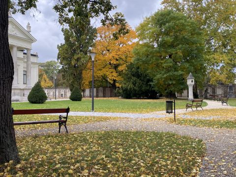 Eladó Iroda 9400 Sopron BEFEKTETÉSI LEHETŐSÉG SOPRON FREKVENTÁLT RÉSZÉN!