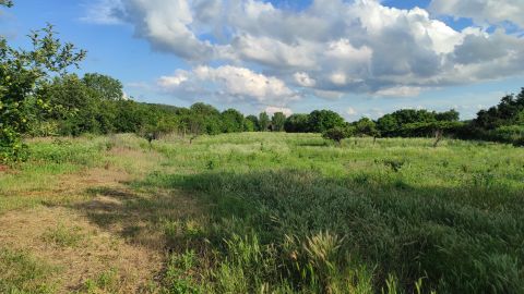 Eladó Telek 3399 Andornaktálya 