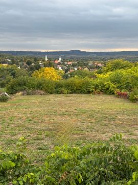 Eladó Telek 2111 Szada 
