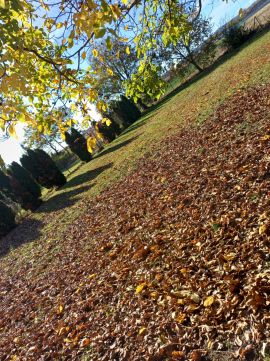 Eladó Telek 9099 Pér Hársfa utca közelében