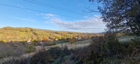 Eladó Ház 8619 Pusztaszemes Csendes környék