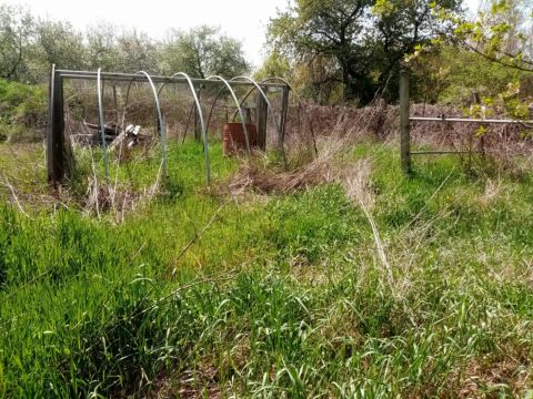 Eladó Telek 7631 Pécs 