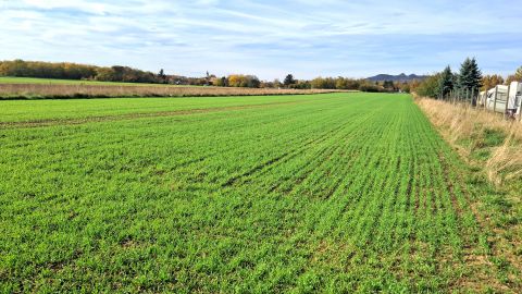 Eladó Telek 9500 Celldömölk 