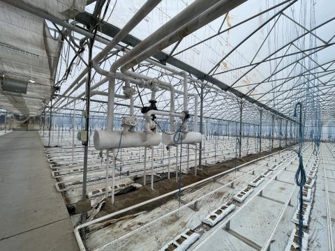 Eladó Ház 6080 Szabadszállás Modern mezőgazdasági telephely lakóházzal