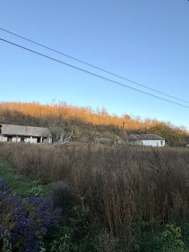 Eladó Telek 2217 Gomba Gomba Felsőfarkasd völgy 1205 helyrajzi szám