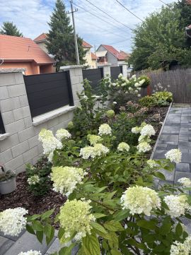 Eladó Ház 2335 Taksony 