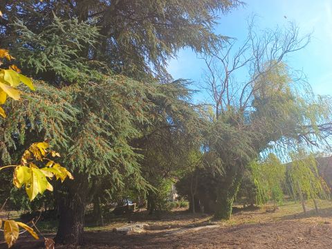 Eladó Telek 7673 Cserkút 