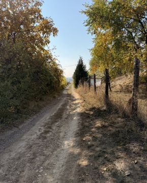 Eladó Telek 7694 Hosszúhetény 