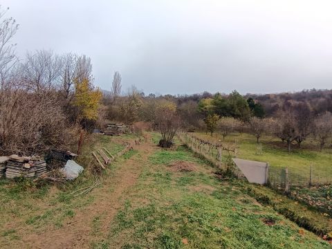 Eladó Ház 2064 Csabdi Csendes természetközeli utcában