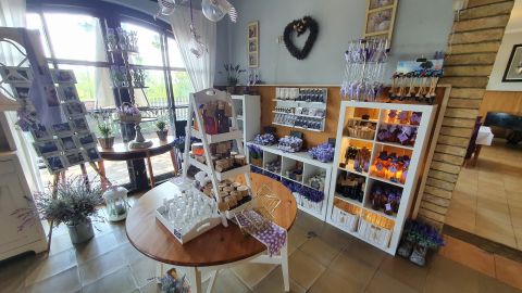 Eladó Vendéglátás 6640 Csongrád 