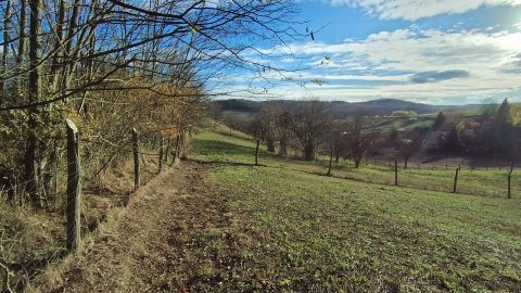 Eladó Telek 8612 Nyim Belterületi telek!