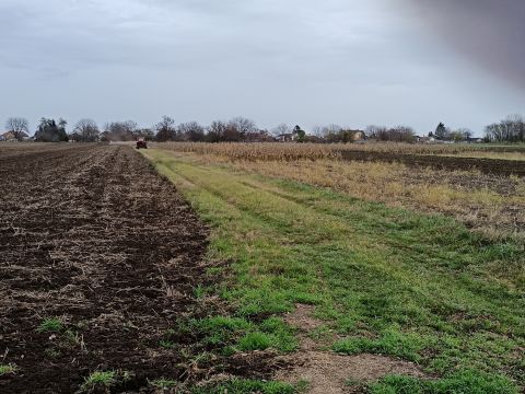 Eladó Telek 8651 Balatonszabadi Belterületi telek!