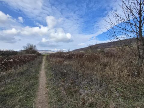 Eladó Telek 2094 Nagykovácsi 2094 Nagykovácsi, Nagykovácsi