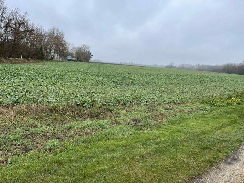 Eladó Telek 9155 Lébény 