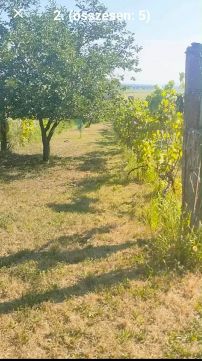 Eladó Telek 2911 Mocsa Bánomi Dülő