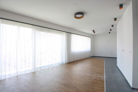 Kiadó Iroda 1024 Budapest 2. kerület 