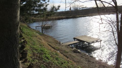 Eladó Telek 2244 Úri , Működő, bevételt termelő erdő–mező–halastó egyben eladó