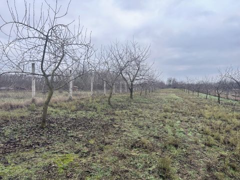 Eladó Telek 4481 Nyíregyháza 