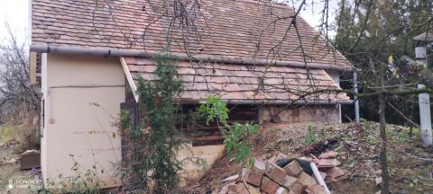 Eladó Mezőgazdasági 7831 Pellérd 