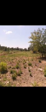 Eladó Telek 2310 Szigetszentmiklós , Barázda utca közelében