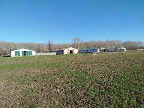 Eladó Mezőgazdasági 2375 Tatárszentgyörgy , Csendes utca