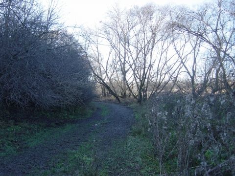 Eladó Telek 2060 Bicske 