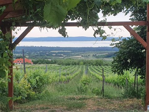 Eladó Ház 8271 Mencshely , Panorámás