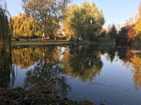 Eladó Telek 7754 Bóly , Eladó Halastó 20 000 m2 telken