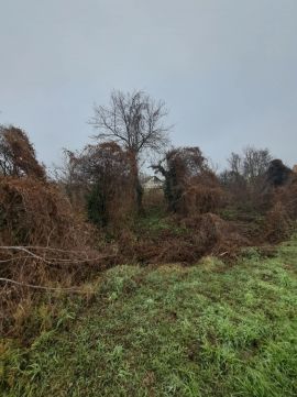 Eladó Telek 2898 Kocs 