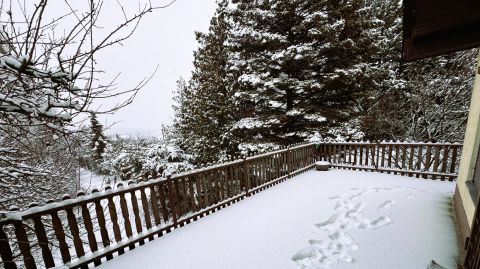 Eladó Ház 2100 Gödöllő , Fenyves