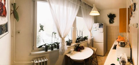 Eladó Lakás 2100 Gödöllő Gödöllő központi részén 1+2 szobás erkélyes lakás!