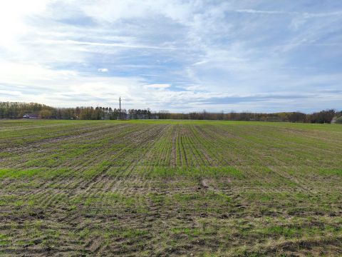 Eladó Telek 2765 Farmos Tápiószele felé, Nyárvesztőn, belterületen