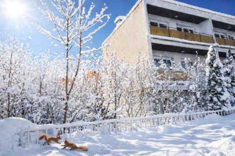 Eladó Ház 8400 Ajka , 8400 Ajka, Tósok