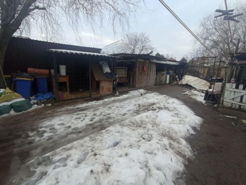 Eladó Ház 2750 Nagykőrös Nagykőrös belvárosában Délibáb utcában családi ház eladó !