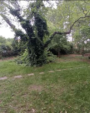 Eladó Telek 1171 Budapest 17. kerület , Zrínyi, Rezgő utca sarok