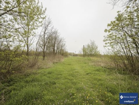 Eladó Telek 8086 Felcsút , Felcsút - Szúnyogpuszta