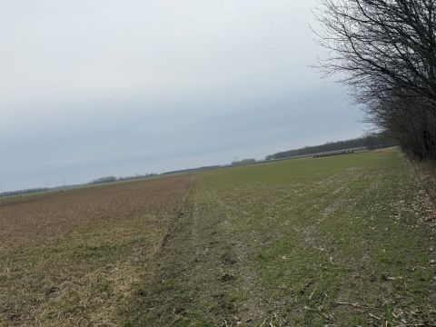 Eladó Telek 9100 Tét , Hunyadi utca közelében