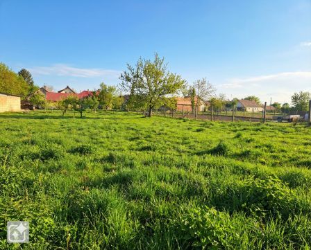 Eladó Telek 7095 Iregszemcse , természetközeli, beépíthető, 1069 nm-es lakóövezeti telek
