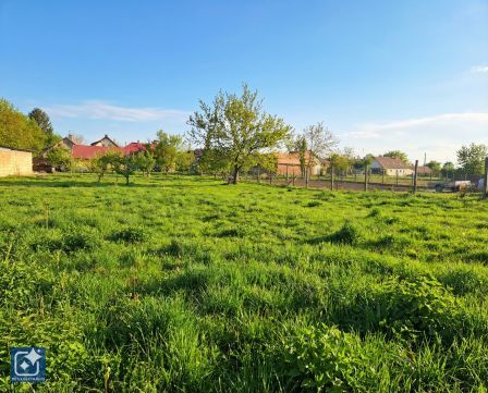 Eladó Telek 7095 Iregszemcse , természetközeli, beépíthető, 1069 nm-es lakóövezeti telek