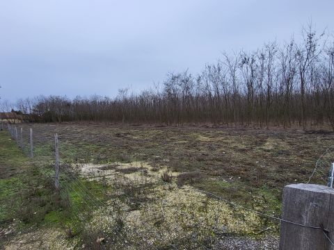 Eladó Telek 2373 Dabas , Dabas csendes, városszéli aszfaltozott utcája