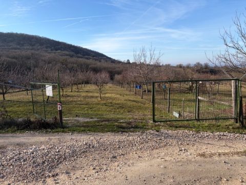 Eladó Telek 2835 Tata 