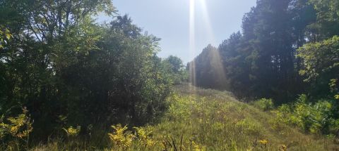 Eladó Telek 5465 Cserkeszőlő , Szinyei Merse Kúria melletti,- erdősávval határolt részen