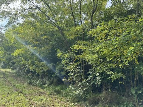 Eladó Telek 9111 Tényő , Radnóti Miklós utca közelében