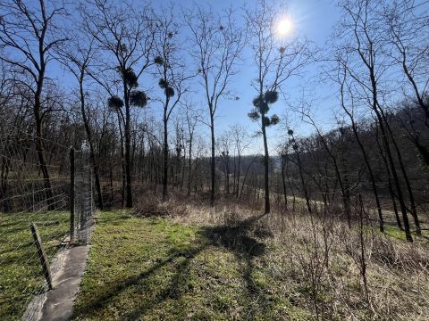 Eladó Telek 8943 Bocfölde , Bocfölde - Nincs utca