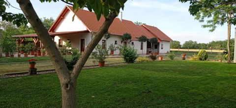 Eladó Mezőgazdasági 5900 Orosháza , Monori ugarok 98