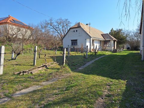 Eladó Ház 8086 Felcsút 